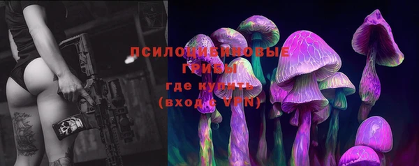 дурь Богданович