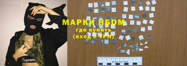 прущие грибы Богородицк