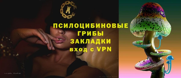прущие грибы Богородицк