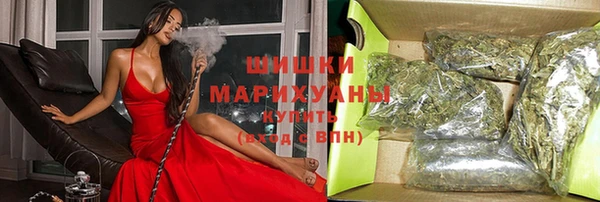 прущие грибы Богородицк