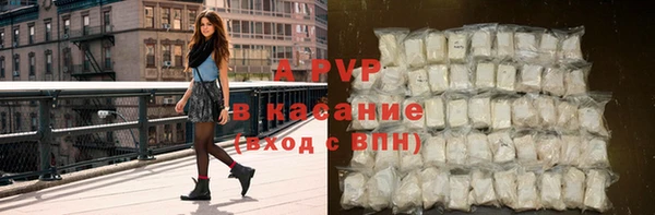 прущие грибы Богородицк